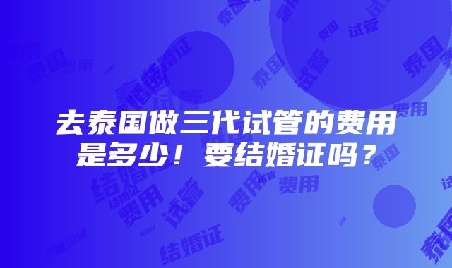 去泰国做三代试管的费用是多少！要结婚证吗？