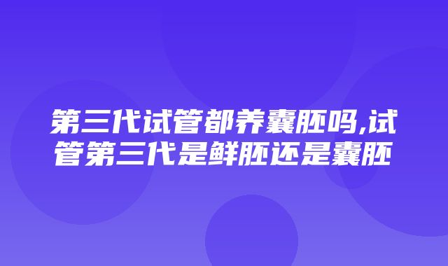 第三代试管都养囊胚吗,试管第三代是鲜胚还是囊胚