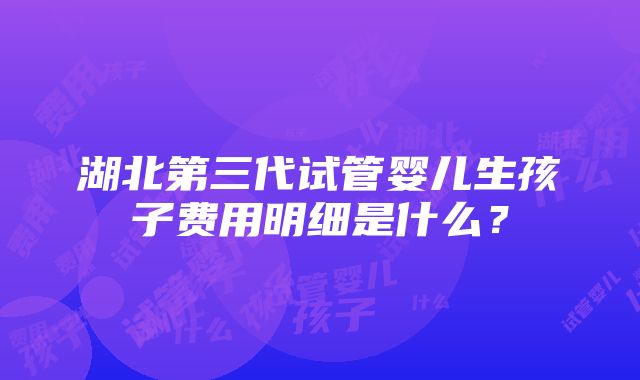 湖北第三代试管婴儿生孩子费用明细是什么？