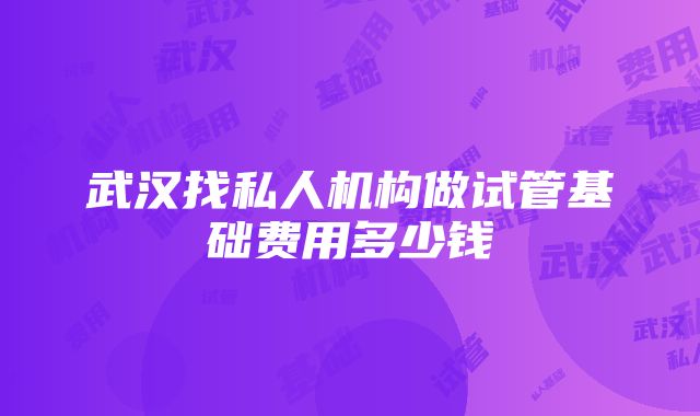 武汉找私人机构做试管基础费用多少钱