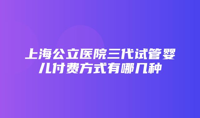 上海公立医院三代试管婴儿付费方式有哪几种