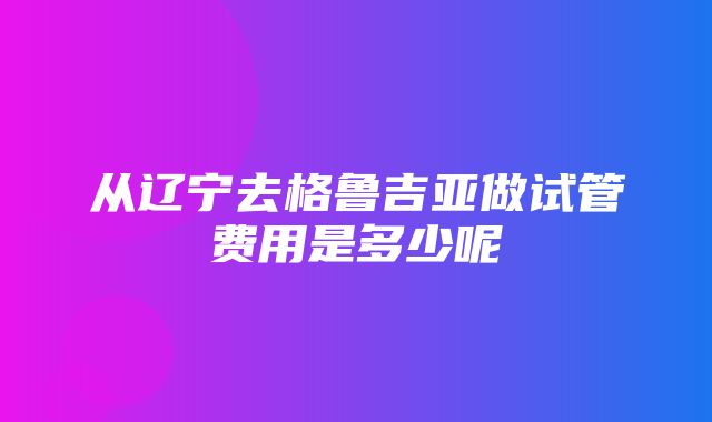 从辽宁去格鲁吉亚做试管费用是多少呢