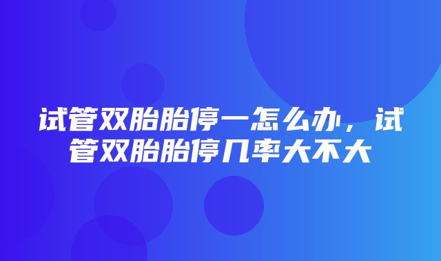 试管双胎胎停一怎么办，试管双胎胎停几率大不大