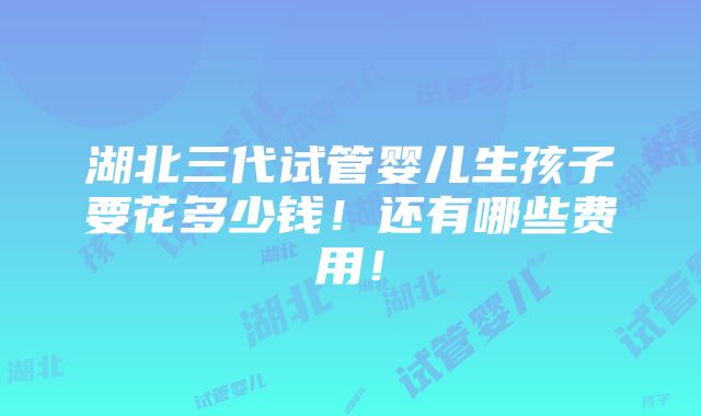 湖北三代试管婴儿生孩子要花多少钱！还有哪些费用！