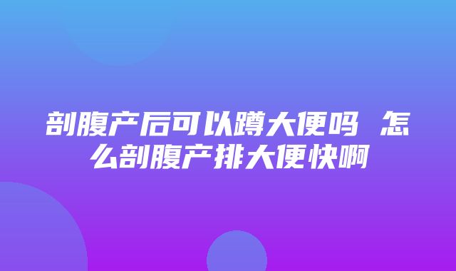 剖腹产后可以蹲大便吗 怎么剖腹产排大便快啊