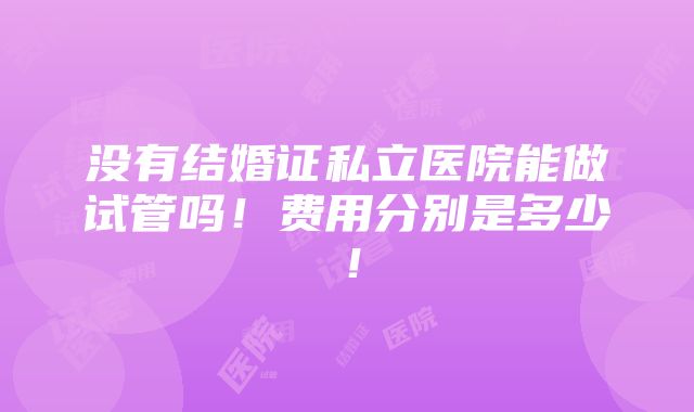 没有结婚证私立医院能做试管吗！费用分别是多少！