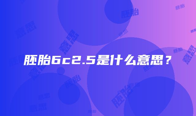 胚胎6c2.5是什么意思？