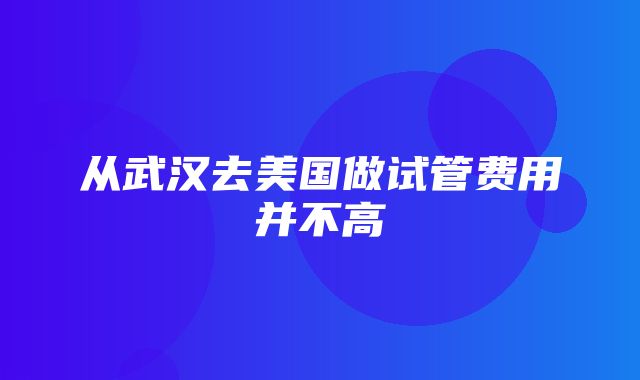 从武汉去美国做试管费用并不高