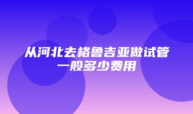 从河北去格鲁吉亚做试管一般多少费用