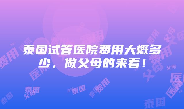 泰国试管医院费用大概多少，做父母的来看！