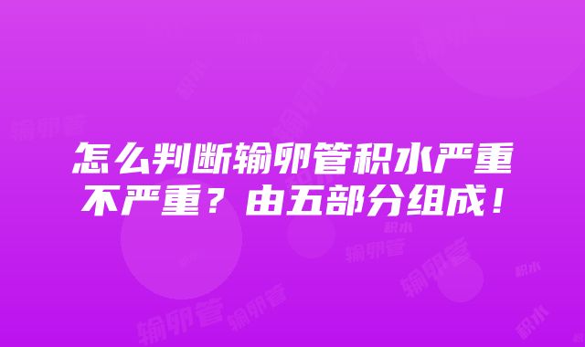 怎么判断输卵管积水严重不严重？由五部分组成！