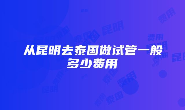 从昆明去泰国做试管一般多少费用