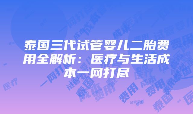 泰国三代试管婴儿二胎费用全解析：医疗与生活成本一网打尽