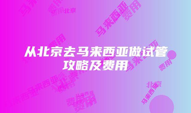 从北京去马来西亚做试管攻略及费用