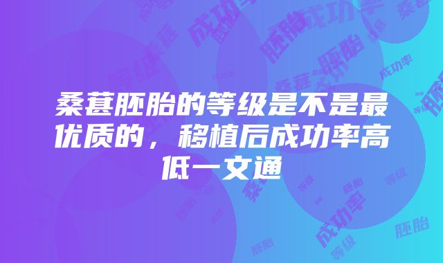 桑葚胚胎的等级是不是最优质的，移植后成功率高低一文通