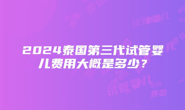 2024泰国第三代试管婴儿费用大概是多少？