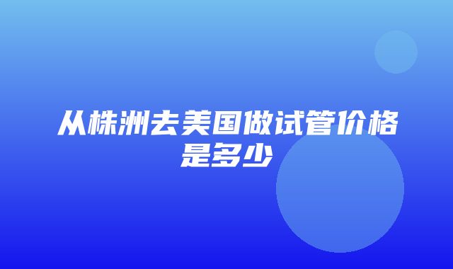 从株洲去美国做试管价格是多少