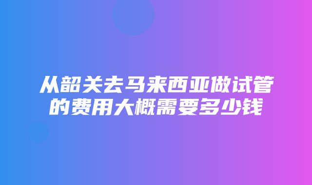 从韶关去马来西亚做试管的费用大概需要多少钱