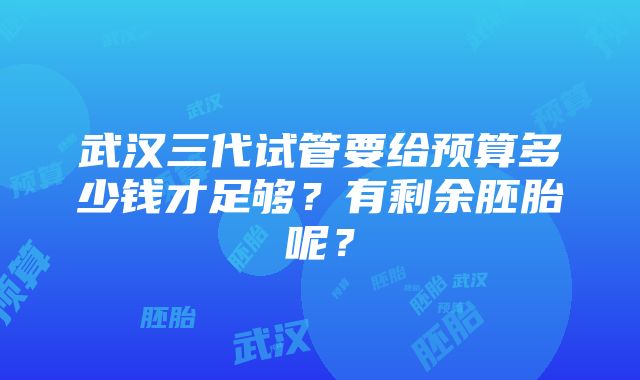 武汉三代试管要给预算多少钱才足够？有剩余胚胎呢？