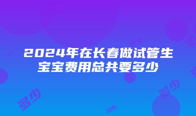 2024年在长春做试管生宝宝费用总共要多少