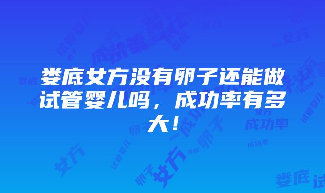 娄底女方没有卵子还能做试管婴儿吗，成功率有多大！