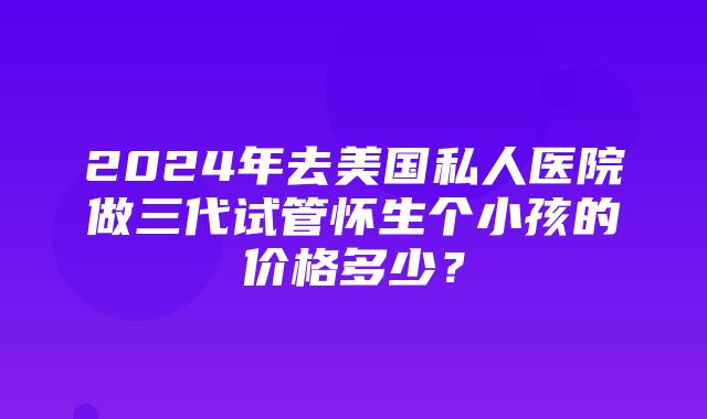 2024年去美国私人医院做三代试管怀生个小孩的价格多少？