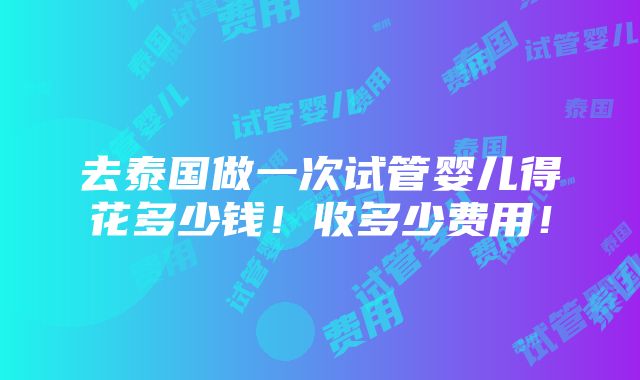 去泰国做一次试管婴儿得花多少钱！收多少费用！