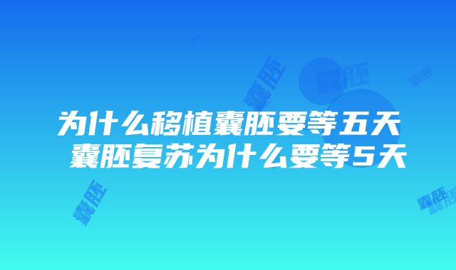 为什么移植囊胚要等五天 囊胚复苏为什么要等5天