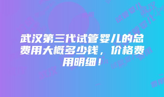 武汉第三代试管婴儿的总费用大概多少钱，价格费用明细！