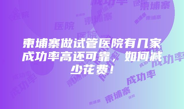 柬埔寨做试管医院有几家成功率高还可靠，如何减少花费！