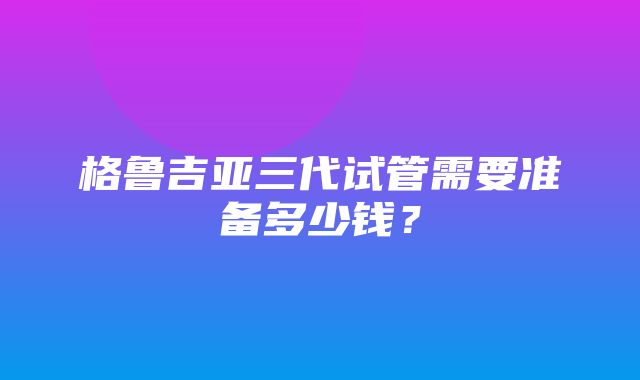 格鲁吉亚三代试管需要准备多少钱？