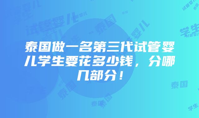 泰国做一名第三代试管婴儿学生要花多少钱，分哪几部分！