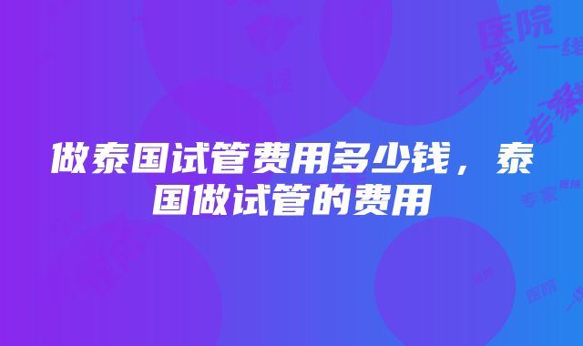 做泰国试管费用多少钱，泰国做试管的费用