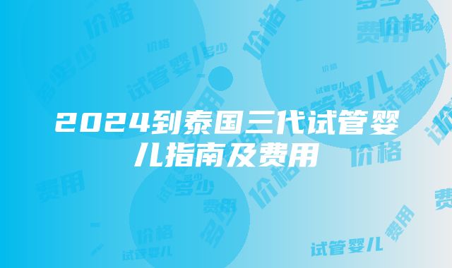 2024到泰国三代试管婴儿指南及费用