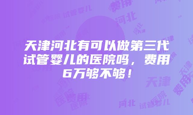 天津河北有可以做第三代试管婴儿的医院吗，费用6万够不够！