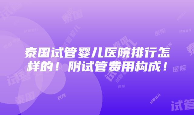 泰国试管婴儿医院排行怎样的！附试管费用构成！