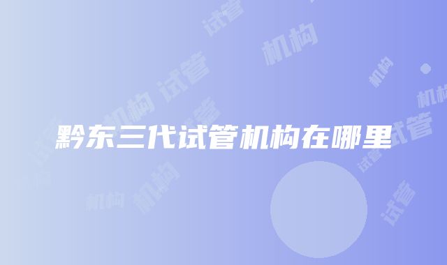 黔东三代试管机构在哪里