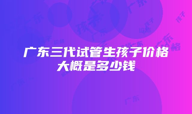 广东三代试管生孩子价格大概是多少钱