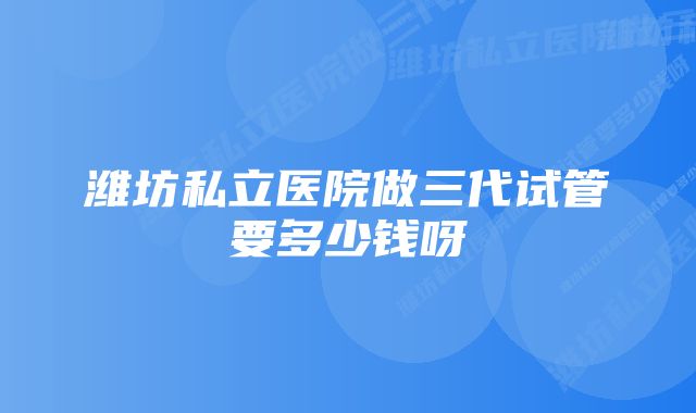 潍坊私立医院做三代试管要多少钱呀