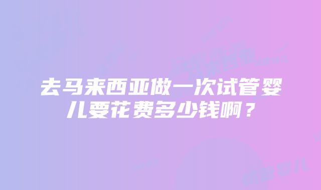 去马来西亚做一次试管婴儿要花费多少钱啊？