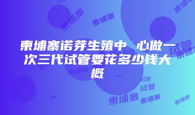 柬埔寨诺芽生殖中 心做一次三代试管要花多少钱大概