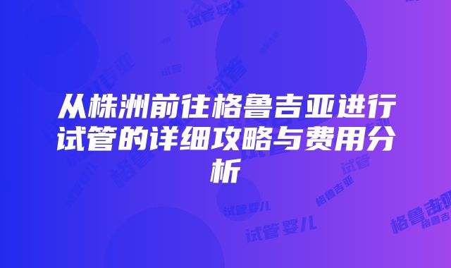 从株洲前往格鲁吉亚进行试管的详细攻略与费用分析