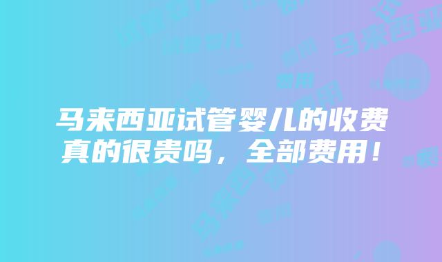 马来西亚试管婴儿的收费真的很贵吗，全部费用！