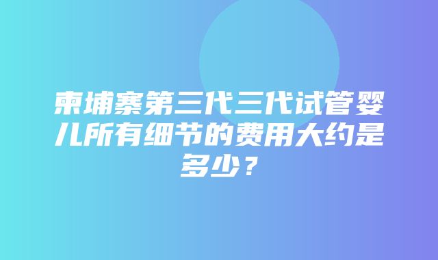 柬埔寨第三代三代试管婴儿所有细节的费用大约是多少？