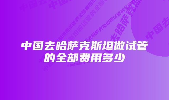 中国去哈萨克斯坦做试管的全部费用多少