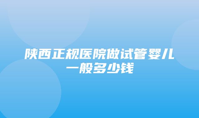 陕西正规医院做试管婴儿一般多少钱