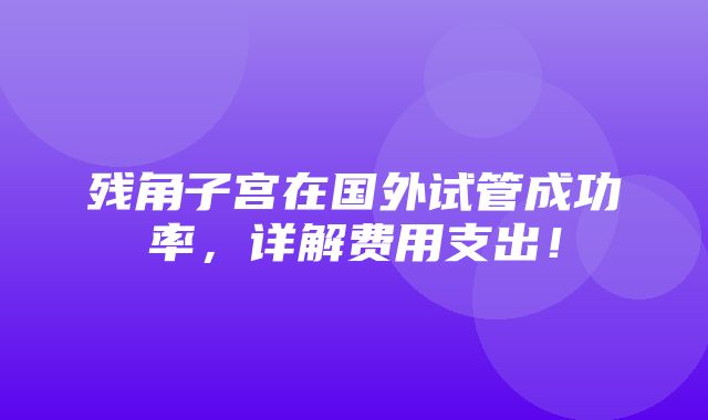 残角子宫在国外试管成功率，详解费用支出！