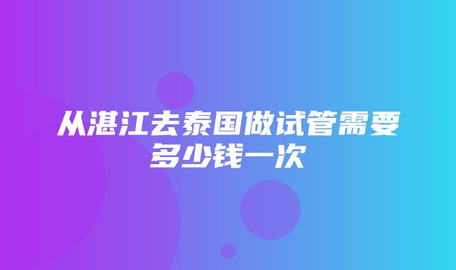 从湛江去泰国做试管需要多少钱一次