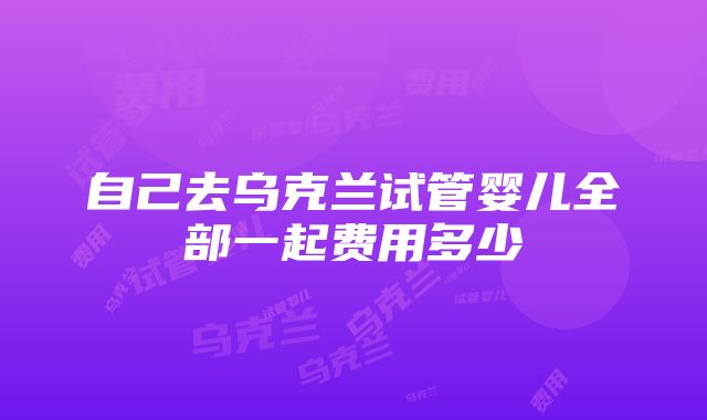 自己去乌克兰试管婴儿全部一起费用多少