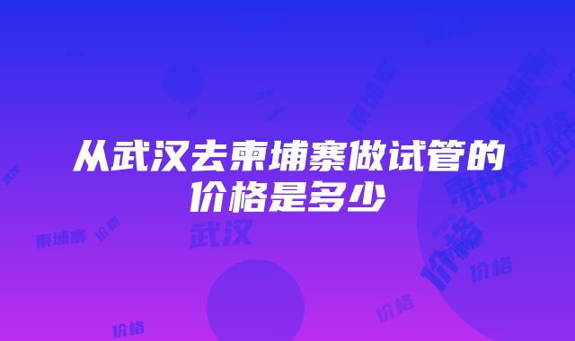 从武汉去柬埔寨做试管的价格是多少